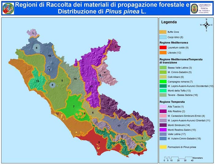 Caratterizzazione e delimitazione delle Regioni di Provenienza delle specie arboree presenti nei boschi del Lazio