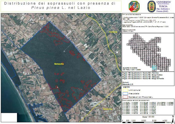 Caratterizzazione e delimitazione delle Regioni di Provenienza delle specie arboree presenti nei boschi del Lazio